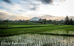Sunrise near Ubud, Bali