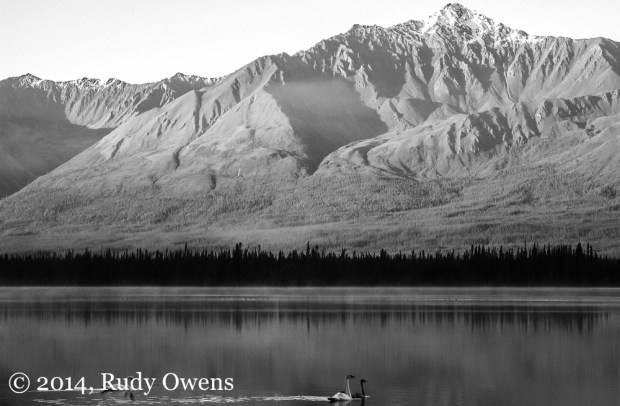 On my way out of Alaska in 2010, I had perhaps one of the most perfect days one could ask for in the North, driving down the AlCan through the Yukon Territory (2010).
