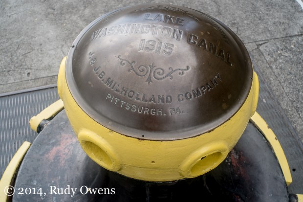 I shot this at 1/125th, F4, ISO 200.