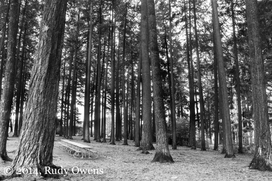 Sellwood Park Photograh