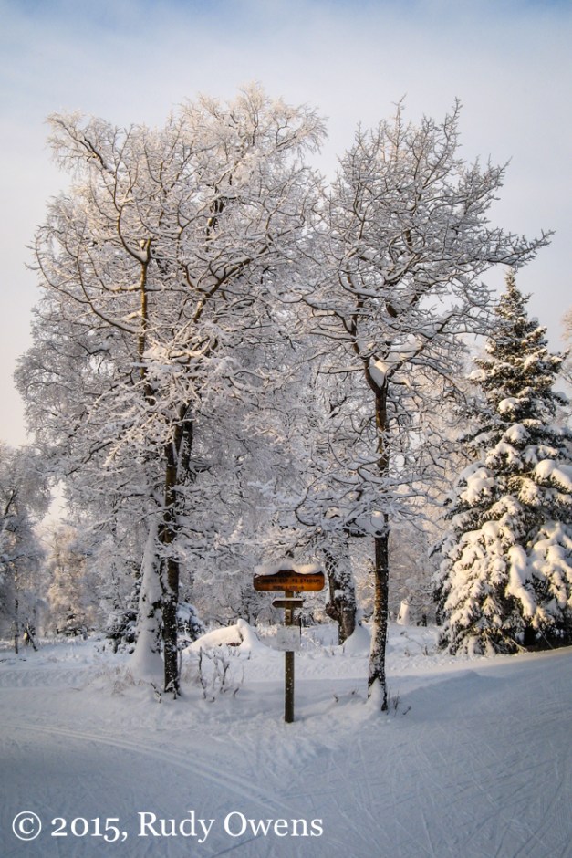 Anchorage Ski Trails Photo