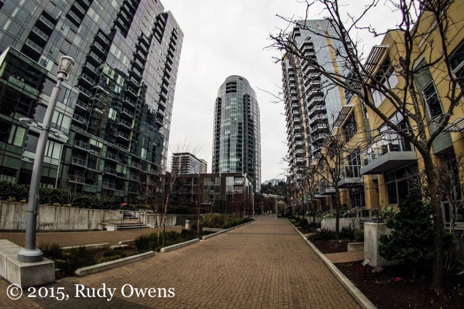 South Waterfront Development Photo