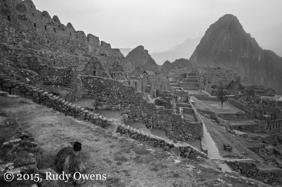 Machu Picchu in the Morning