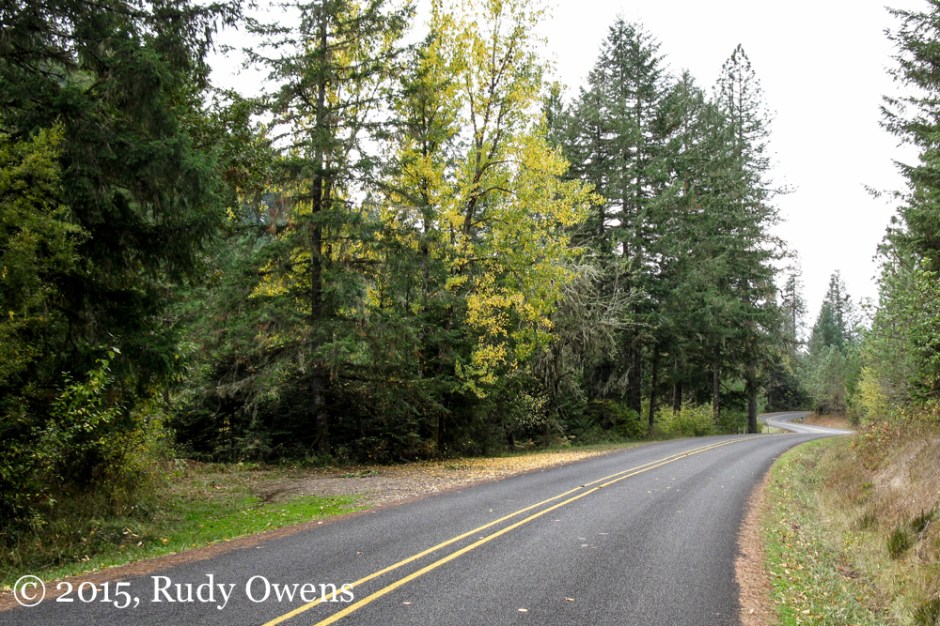 Fox Hollow Road, Lane County, Oregon