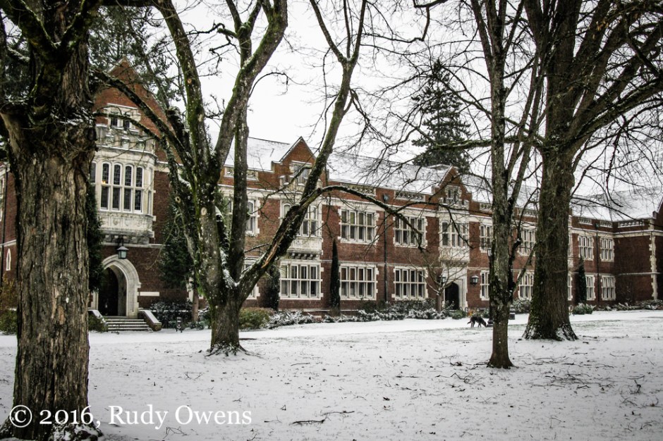 Reed College Greets New Year with Snow