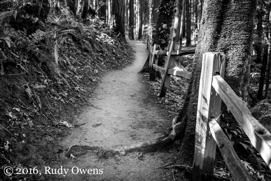 Wildwood Trail, Forest Park