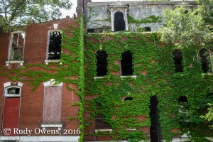 Beautiful old brick homes have long gone feral in the economically challenged neighborhoods of north St. Louis.