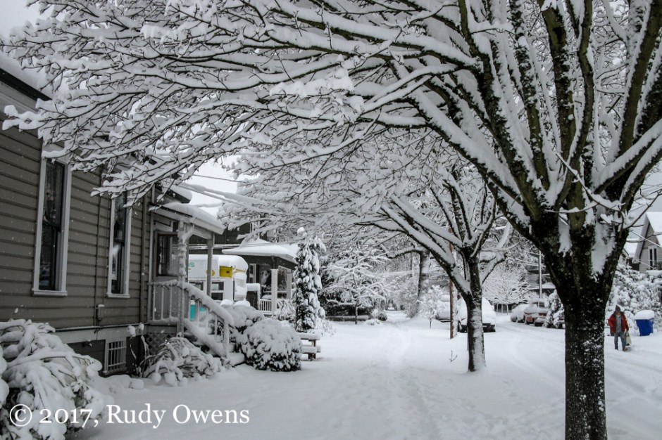Portland Snow Picture
