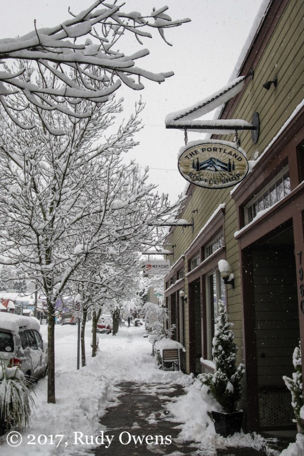 Portland Snow Picture
